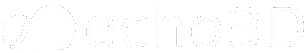 Echo 3D Logo